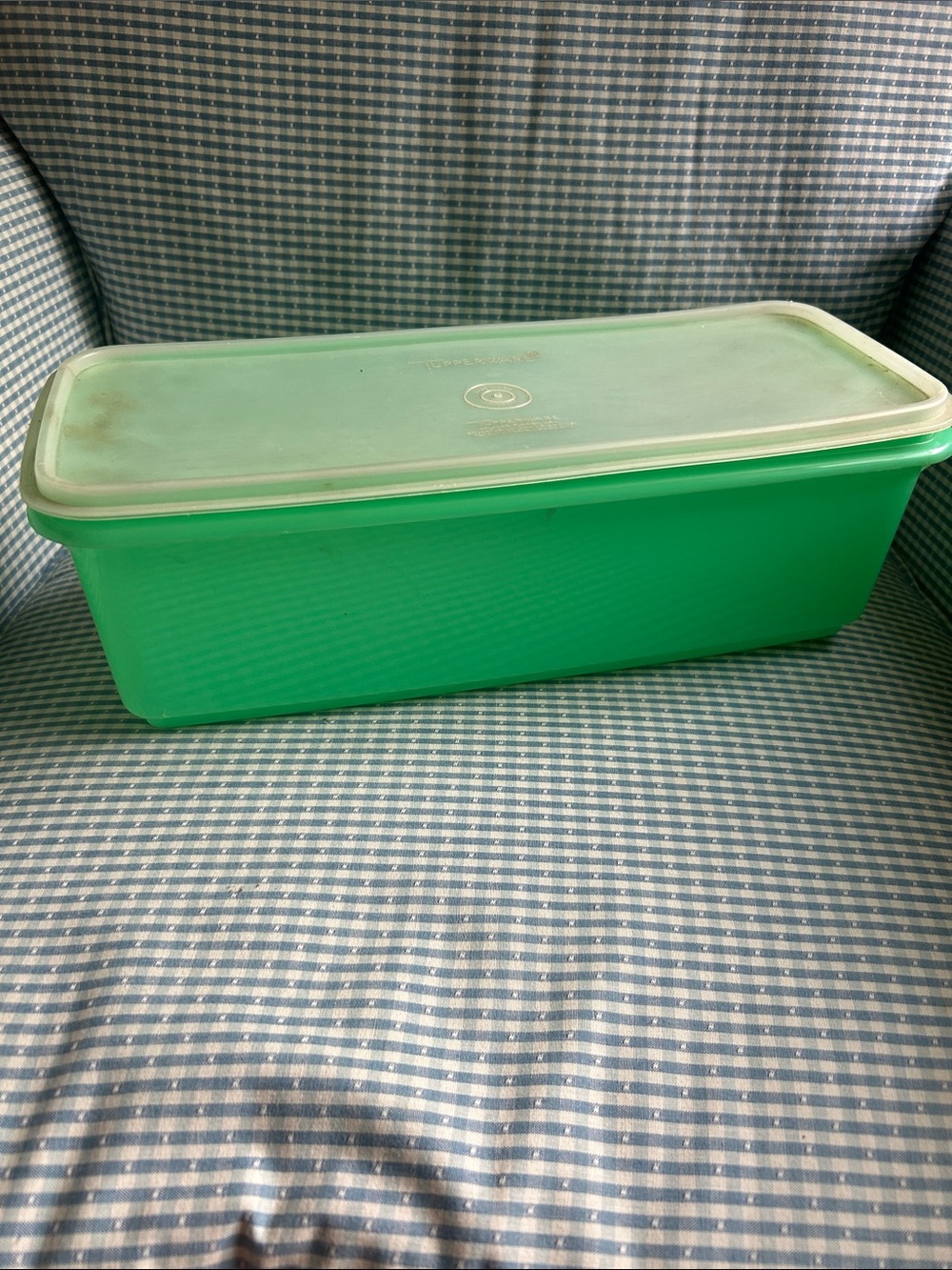 Vintage Tupperware celery keeper